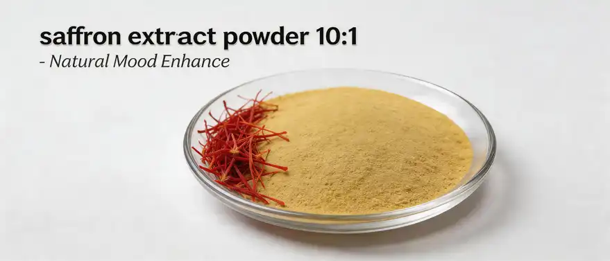 saffron extract powder 10:1 saffron extract powder 10:1