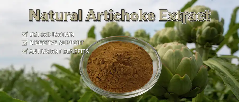 nature artichoke extract