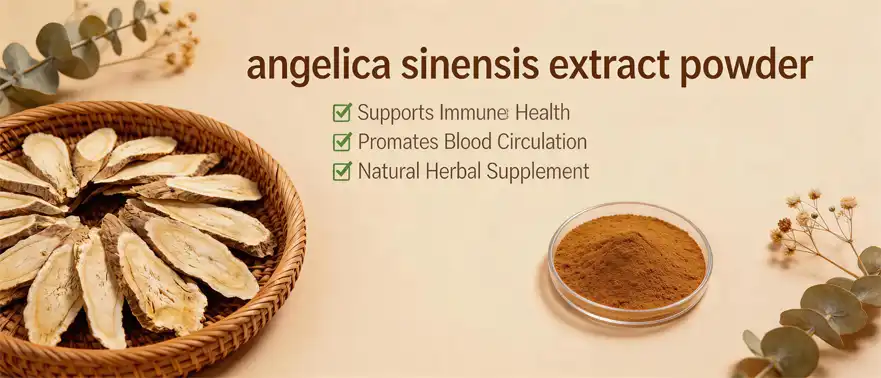 angelica sinensis extract powder angelica sinensis extract powder