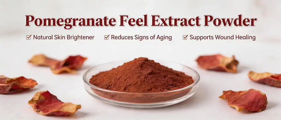 Pomegranate peel extract powder Pomegranate peel extract powder