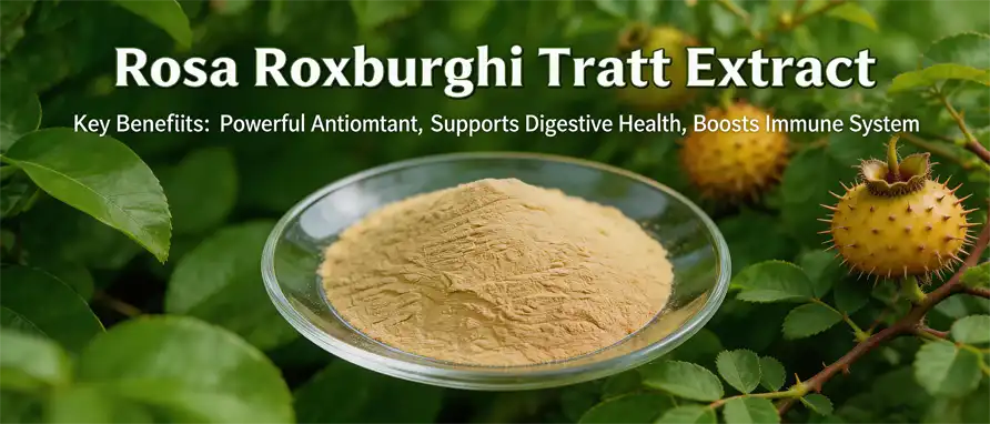 Rosa Roxburghii Extract Rosa Roxburghii Extract