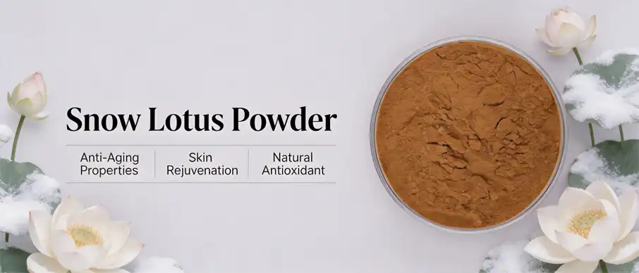 Snow Lotus Powder Snow Lotus Powder