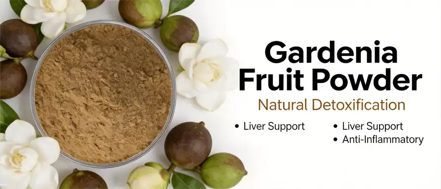 Gardenia fruit powde