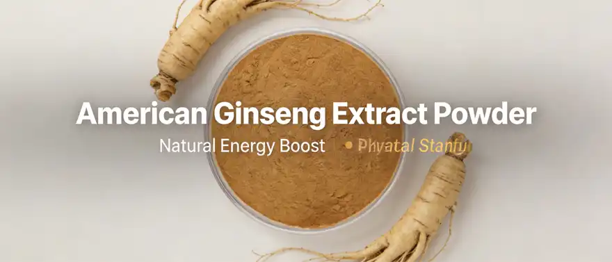 American ginseng extract powder American ginseng extract powder