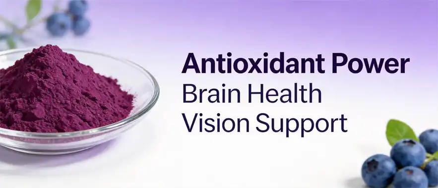 natural blueberry extract powder natural blueberry extract powder
