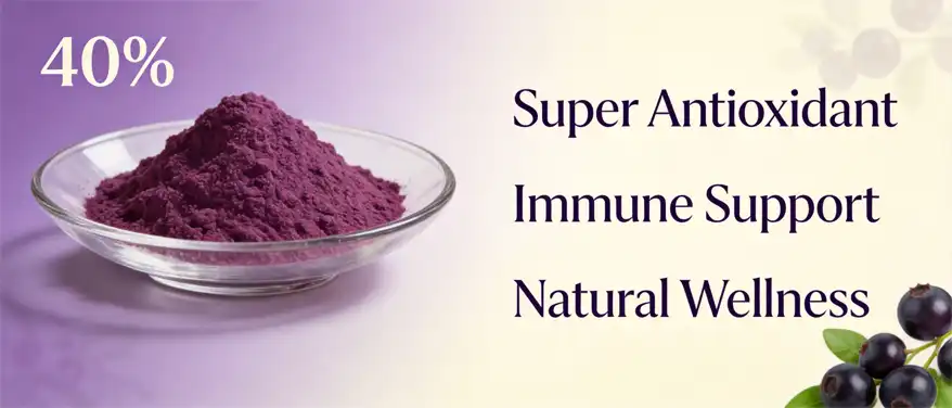 Maqui berry powder Maqui berry powder