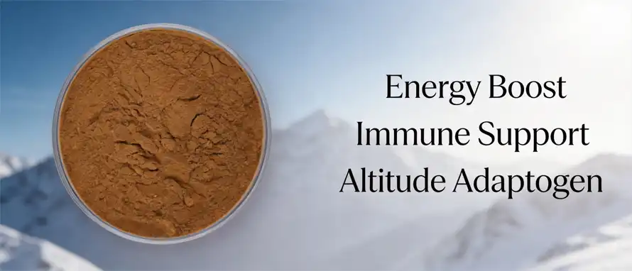 Snow Lotus Powder Snow Lotus Powder