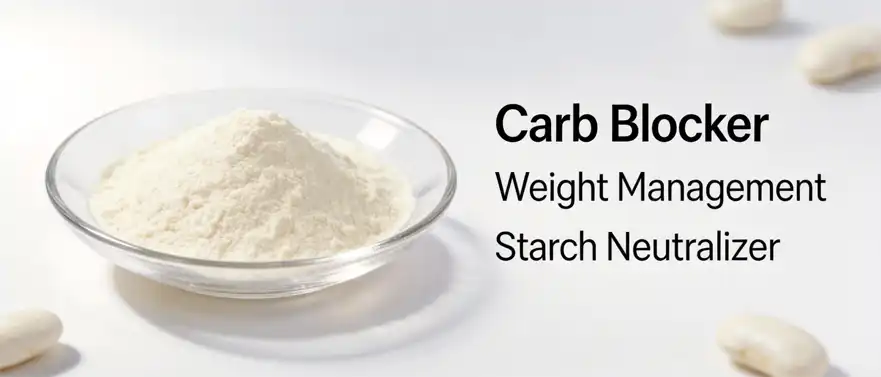 white kidney bean extract powder white kidney bean extract powder
