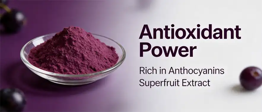 Maqui berry powder