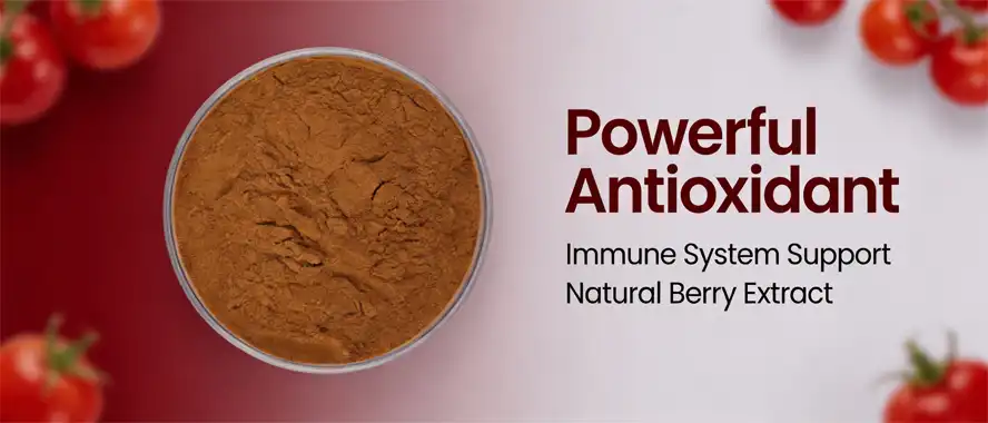 Holy berry powder Holy berry powder