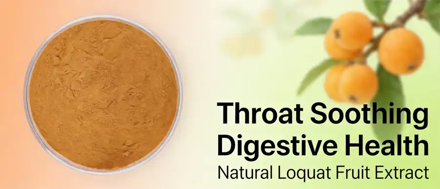 Loquat powder Loquat powder