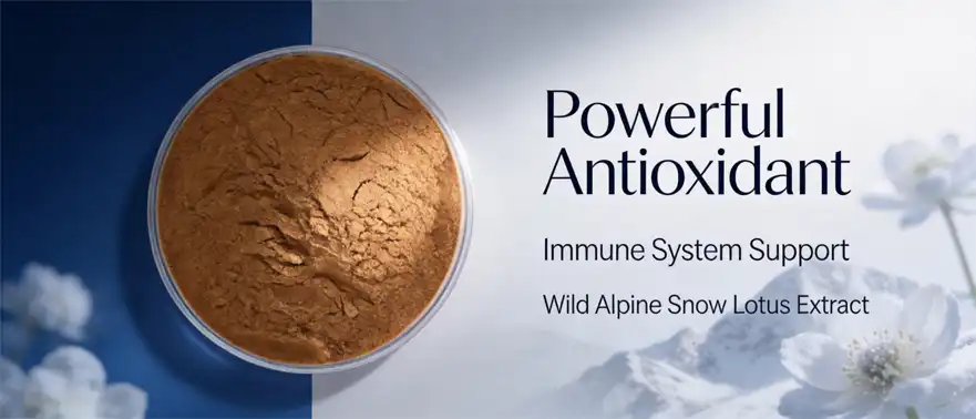 Snow Lotus Powder Snow Lotus Powder