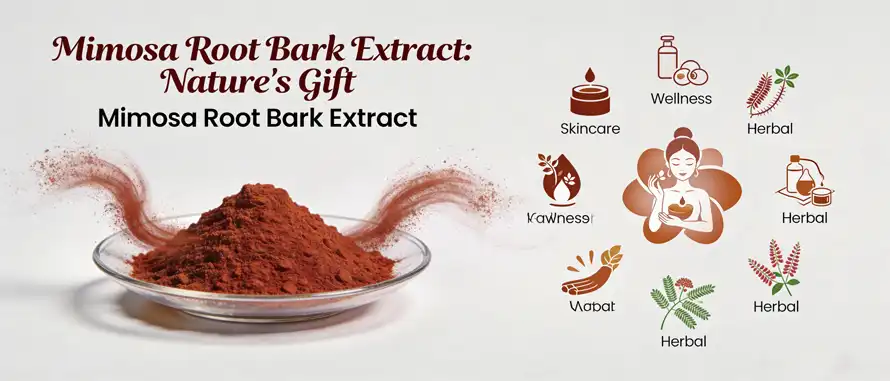 Mimosa Root Bark Extract Mimosa Root Bark Extract