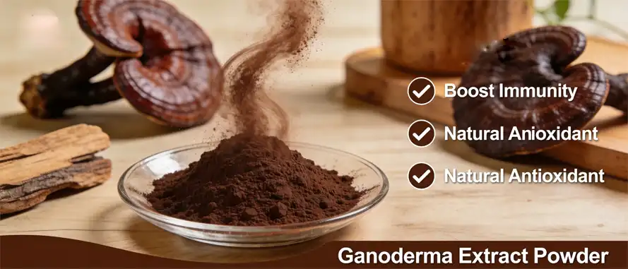 Ganoderma Extract Powder