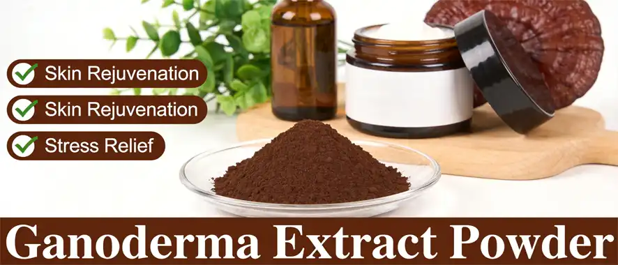 Ganoderma extract powder Ganoderma extract powder