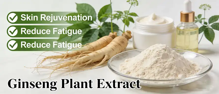 ginseng plant extract ginseng plant extract
