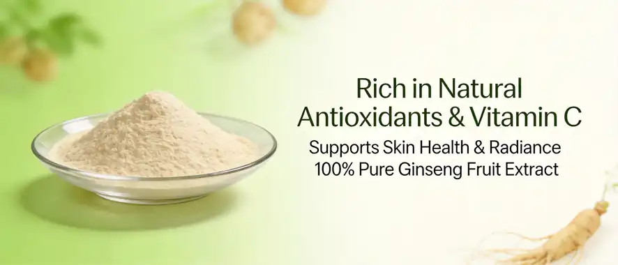  Ginseng fruit powder