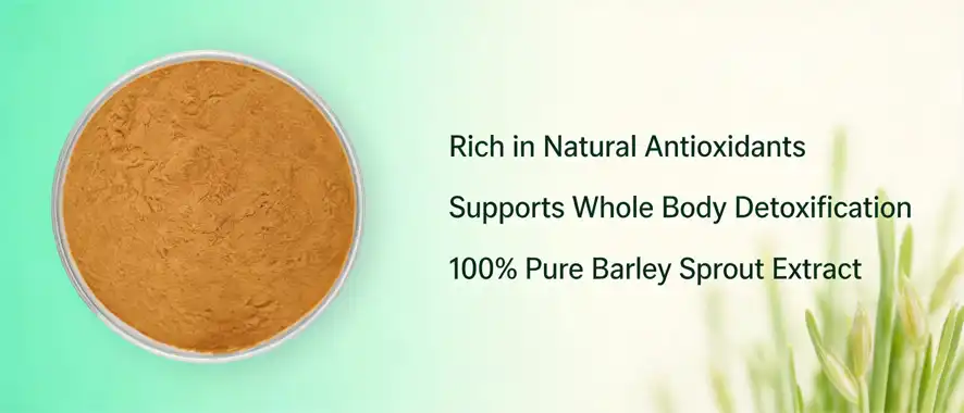 Barley sprout powder