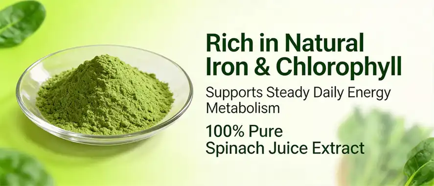 Spinach juice powders Spinach juice powders