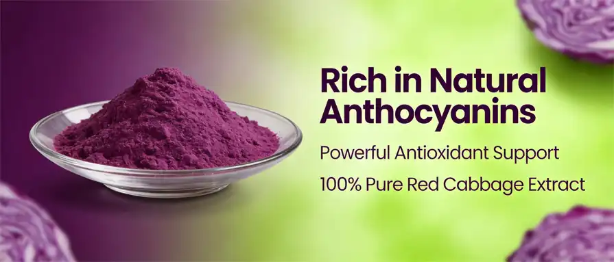 purple cabbage powder purple cabbage powder