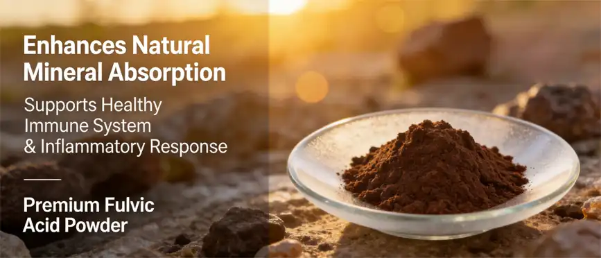 Fulvic Acid Powder 