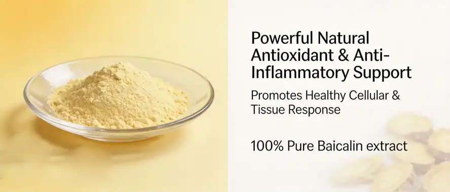 Baicalin extract Baicalin extract