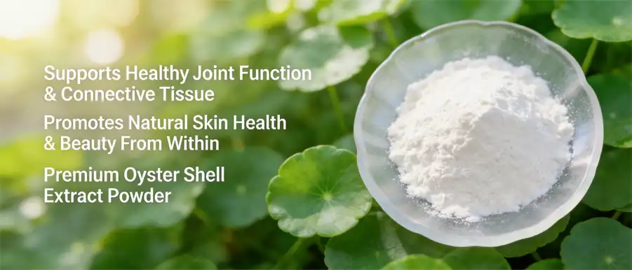 Oyster shell extract powder