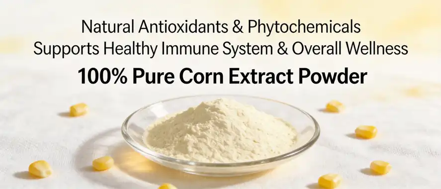 Pure Corn Extract Powder Pure Corn Extract Powder