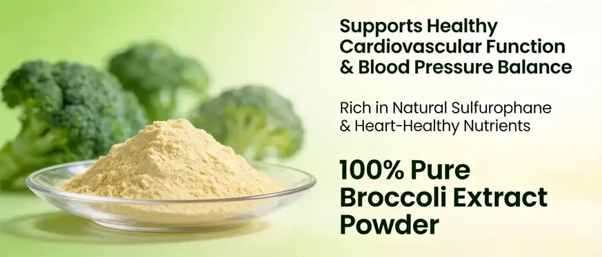 Broccoli extract powder Broccoli extract powder