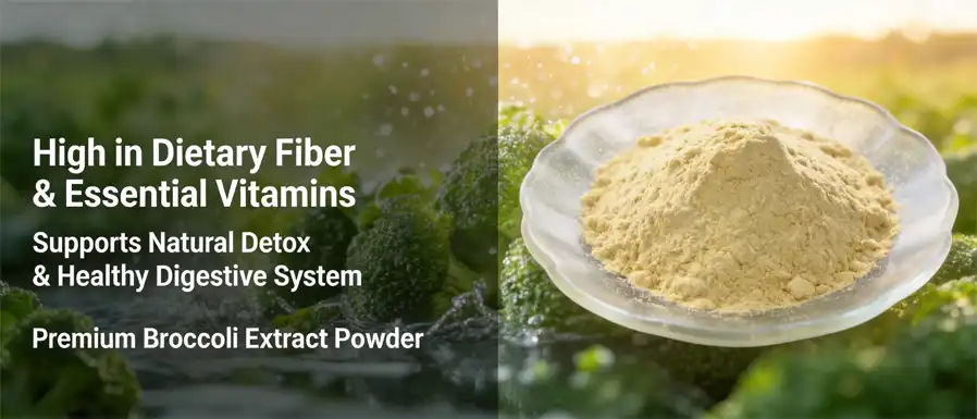 roccoli extract powder roccoli extract powder
