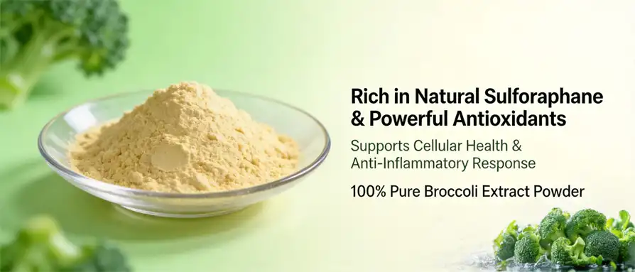 Broccoli extract powder Broccoli extract powder