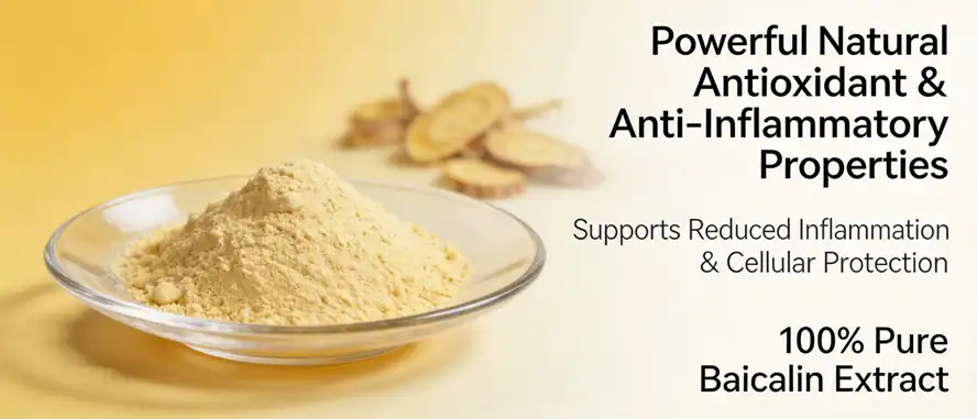 Baicalin extract Baicalin extract