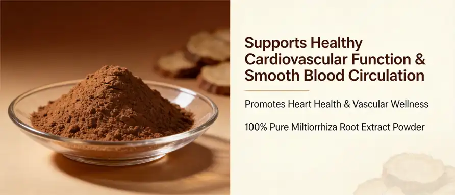 Miltiorrhiza Root Extract Powder