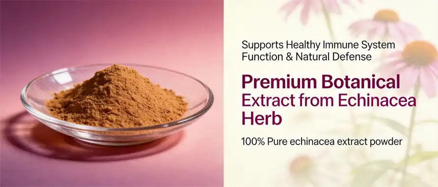 echinacea extract powder echinacea extract powder