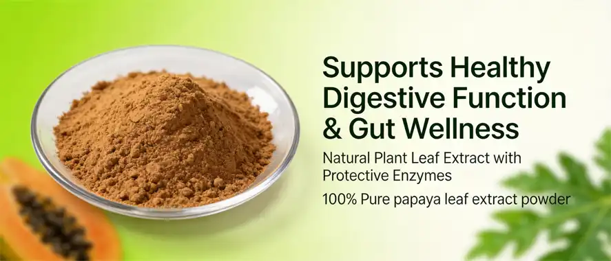Papaya leaf extract powder Papaya leaf extract powder