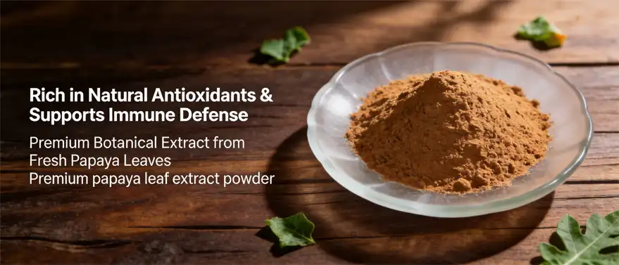 papaya leaf extract powder