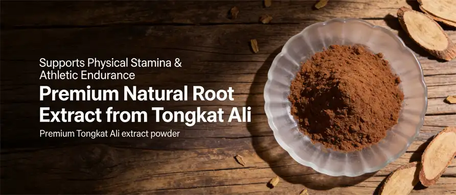 best Tongkat Ali extract powder