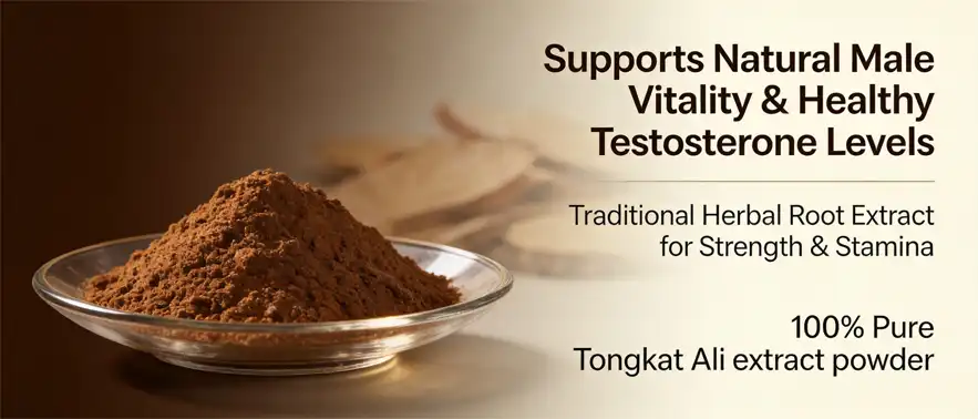 best Tongkat Ali extract powder best Tongkat Ali extract powder