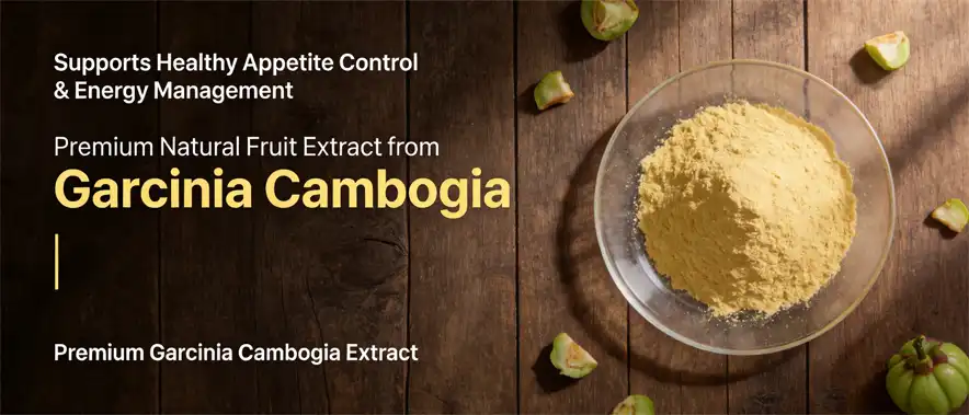 arcinia Cambogia Extract
