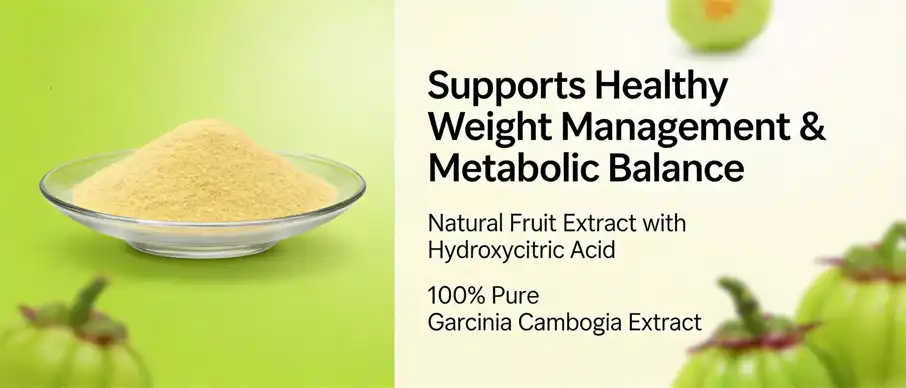 Garcinia Cambogia Extract Garcinia Cambogia Extract