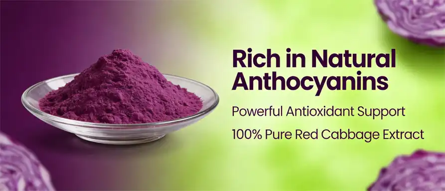 Purple cabbage powder 