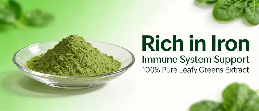 Spinach juice powder 