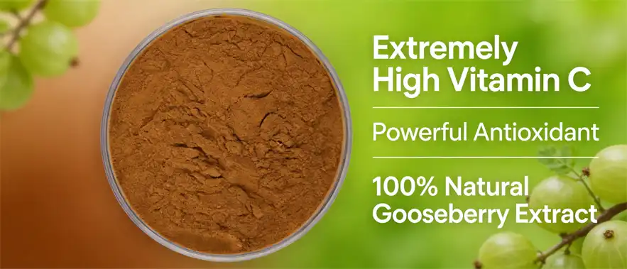 Cape Gooseberry Powder Cape Gooseberry Powder