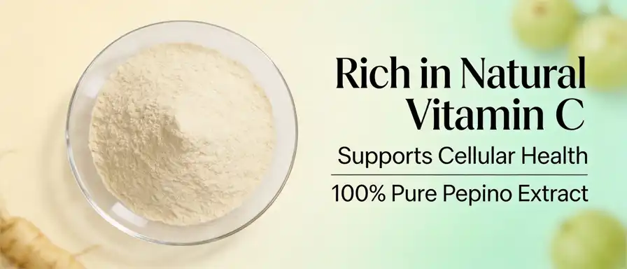 Ginseng fruit powder Ginseng fruit powder