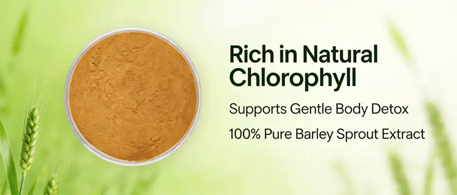 Barley sprout powder