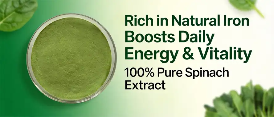 Spinach juice powder Spinach juice powder