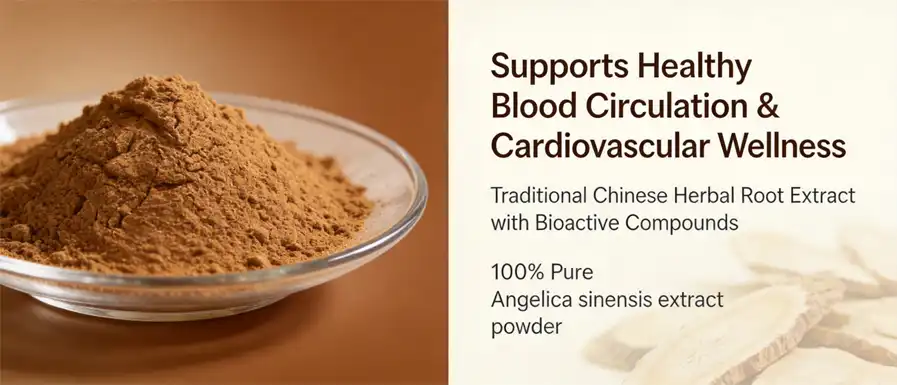 Angelica sinensis extract powder 