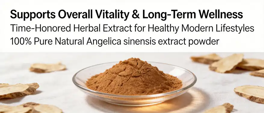 Angelica sinensis extract powder 