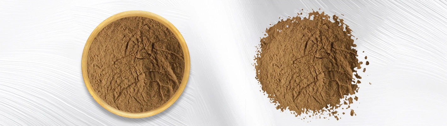 Achyranthes bidentata extract