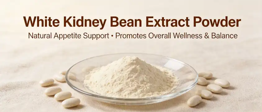white kidney bean extract powder white kidney bean extract powder